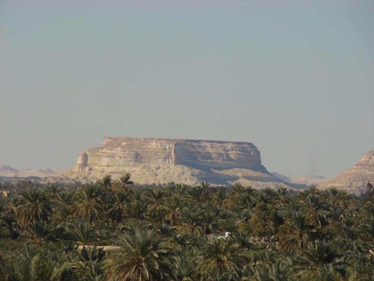 Siwa Paradise Siwa Oasis Exteriér fotografie